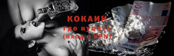 хмурый Верея