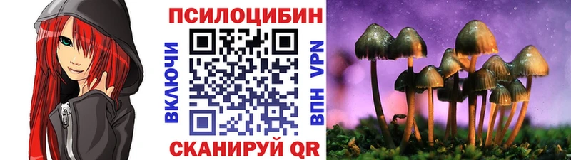 Галлюциногенные грибы Magic Shrooms  Купить  Короча 